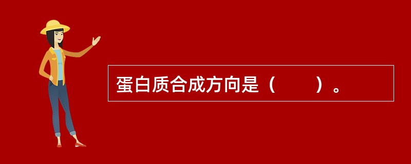 蛋白质合成方向是（　　）。 