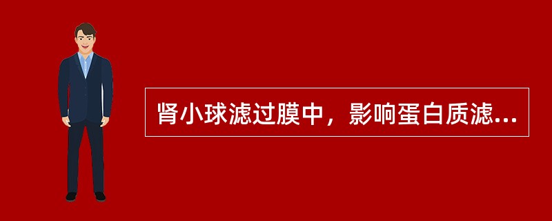 肾小球滤过膜中，影响蛋白质滤过的关键屏障是（　　）。