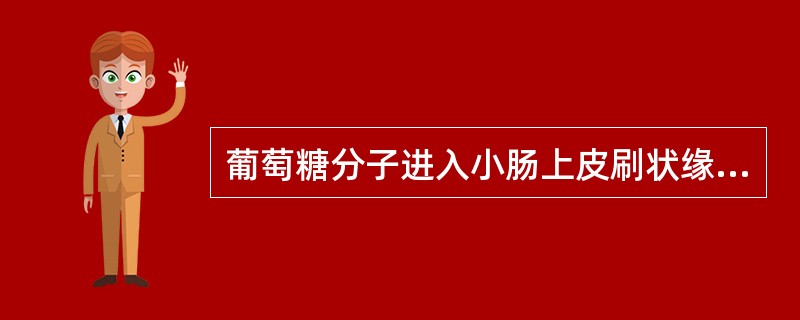 葡萄糖分子进入小肠上皮刷状缘时是（）。