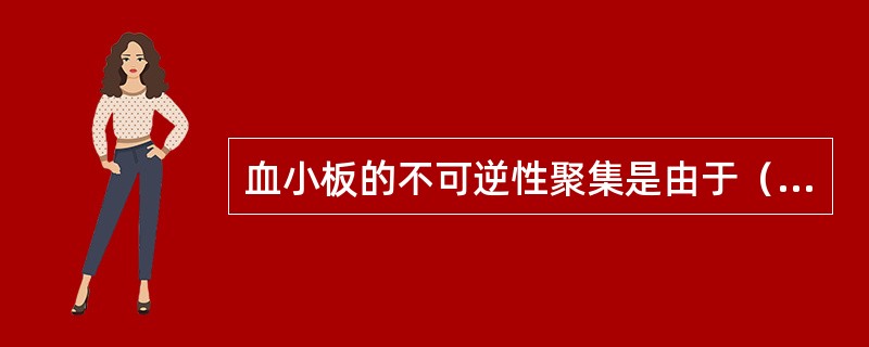 血小板的不可逆性聚集是由于（　　）。