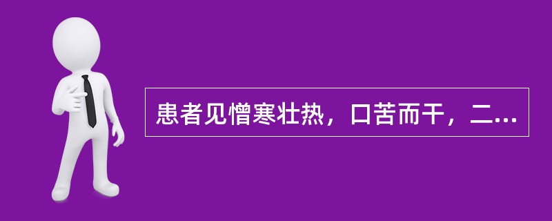 患者见憎寒壮热，口苦而干，二便秘涩，头晕、目赤，舌苔黄腻，脉数。治宜选方（　　）。