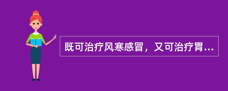 既可治疗风寒感冒，又可治疗胃寒呕吐的是（　　）。