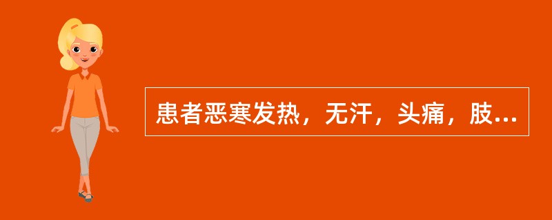 患者恶寒发热，无汗，头痛，肢体酸楚疼痛，口苦微渴，苔白、脉浮。治宜选用（　　）。