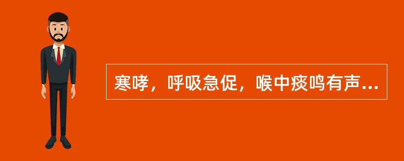 寒哮，呼吸急促，喉中痰鸣有声，胸膈满闷，痰白有泡沫。治宜选用（　　）。