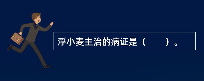 浮小麦主治的病证是（　　）。