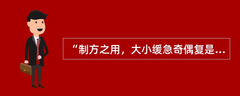 “制方之用，大小缓急奇偶复是也”一语出自（　　）。