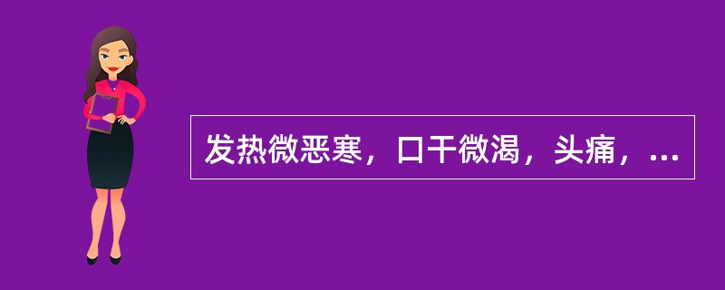 发热微恶寒，口干微渴，头痛，脉浮数是（　　）。 