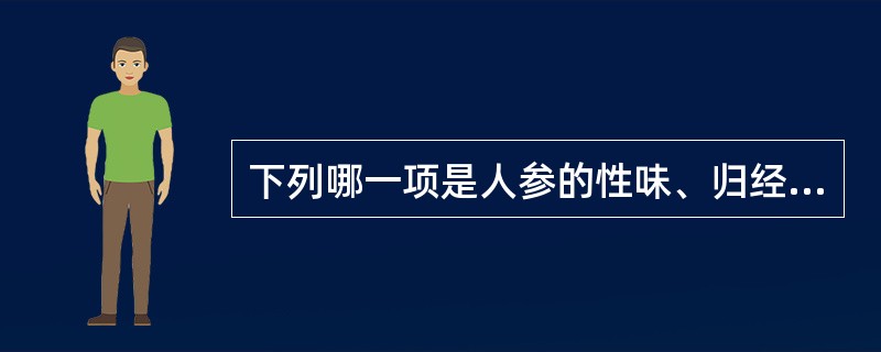 下列哪一项是人参的性味、归经？（　　）