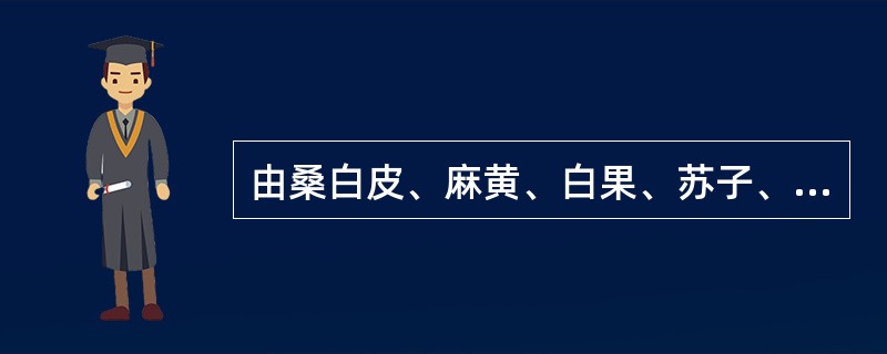 由桑白皮、麻黄、白果、苏子、甘草、款冬花、杏仁、黄芩、半夏组成的方剂是（　　）。