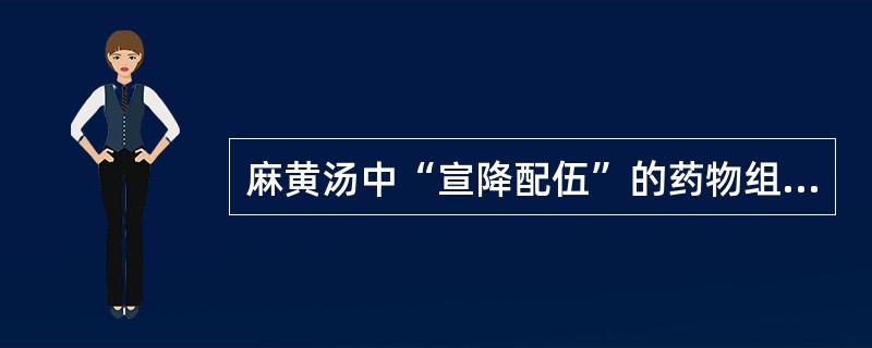麻黄汤中“宣降配伍”的药物组合是（　　）。