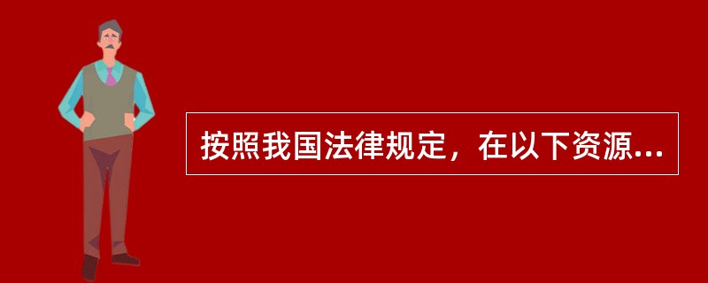 按照我国法律规定，在以下资源中有可能属于非公共资源的是（　　）。