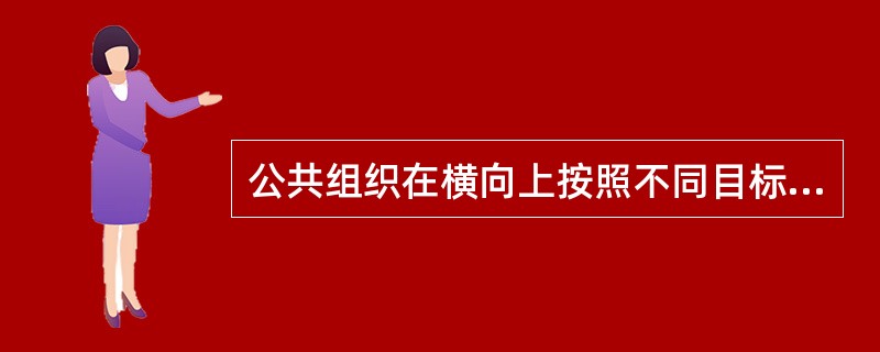 公共组织在横向上按照不同目标划分为不同部门的组织类型，被称为（　　）。[2011年真题]