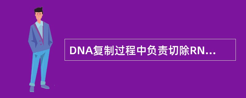 DNA复制过程中负责切除RNA引物的是（　　）。