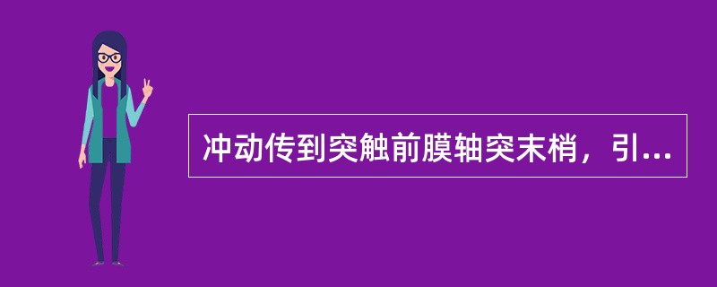 冲动传到突触前膜轴突末梢，引起膜对哪种离子通透性增加？（　　）