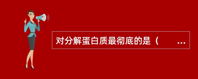 对分解蛋白质最彻底的是（　　）。