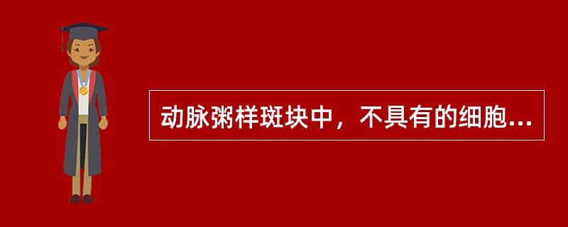 动脉粥样斑块中，不具有的细胞是（　　）。