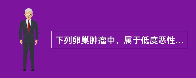 下列卵巢肿瘤中，属于低度恶性上皮性肿瘤是（　　）。