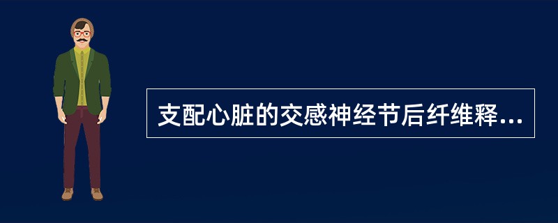 支配心脏的交感神经节后纤维释放的递质是（　　）。