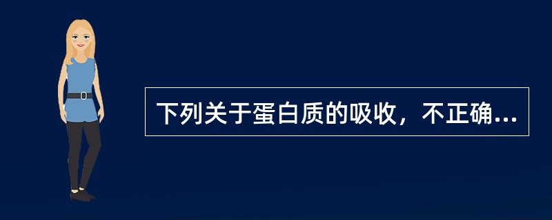 下列关于蛋白质的吸收，不正确的是（　　）。