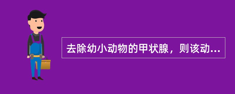 去除幼小动物的甲状腺，则该动物发育呈现（　　）。