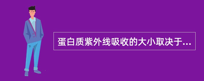 蛋白质紫外线吸收的大小取决于（　　）。