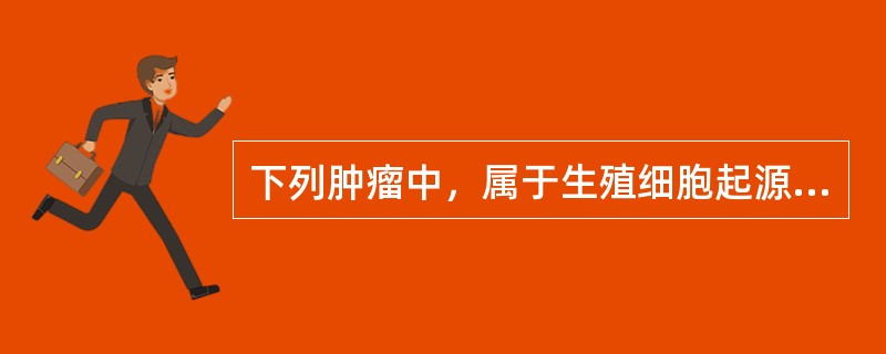 下列肿瘤中，属于生殖细胞起源的是（　　）。