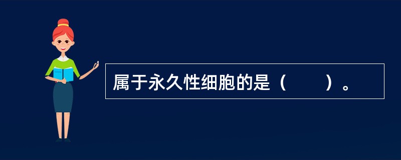 属于永久性细胞的是（　　）。