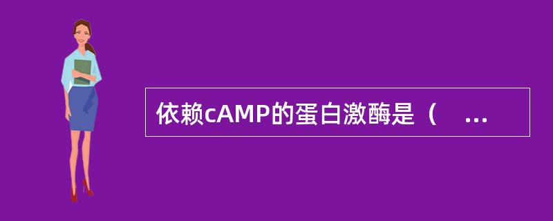 依赖cAMP的蛋白激酶是（　　）。 