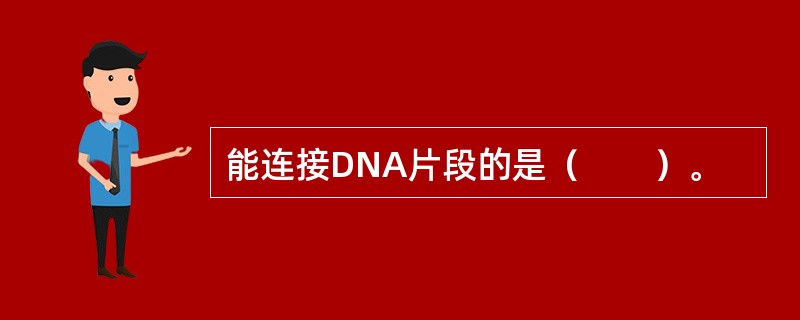 能连接DNA片段的是（　　）。 