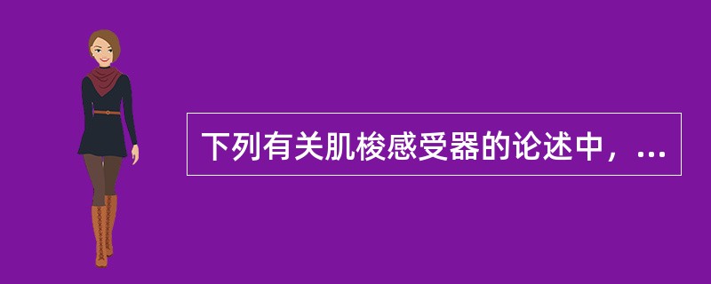 下列有关肌梭感受器的论述中，不正确的是（　　）。