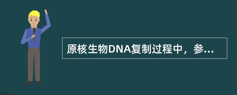 原核生物DNA复制过程中，参与冈崎片段之间连接的酶有（　　）。