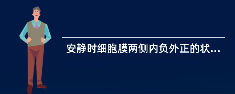 安静时细胞膜两侧内负外正的状态称为（　　）。 