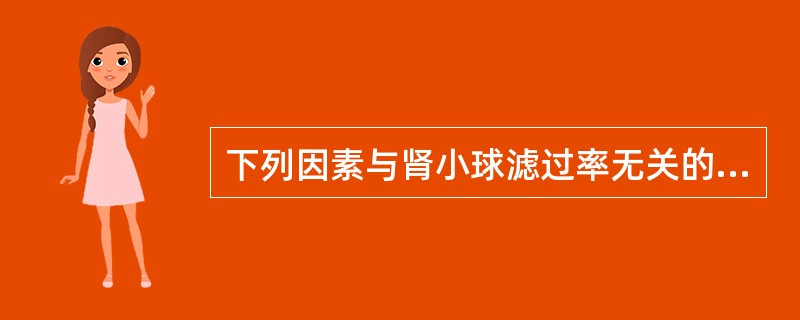 下列因素与肾小球滤过率无关的是（　　）。