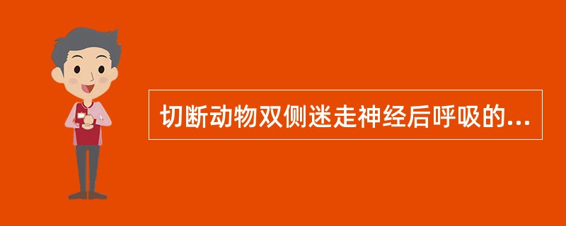 切断动物双侧迷走神经后呼吸的改变正确的是（　　）。