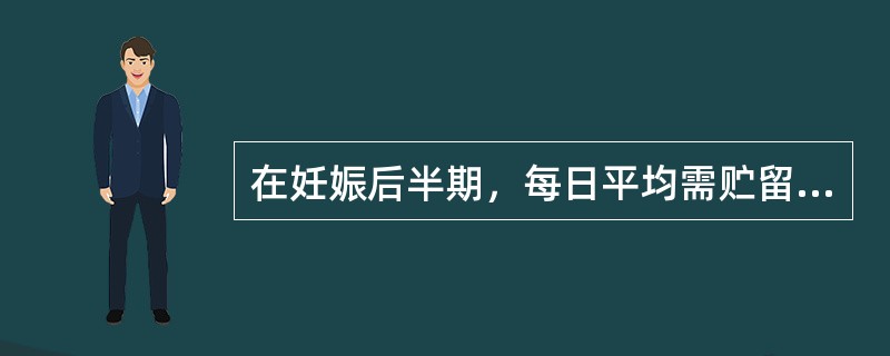 在妊娠后半期，每日平均需贮留蛋白质（　）克。