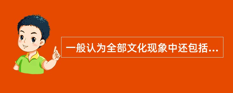 一般认为全部文化现象中还包括（　）这几个层次。