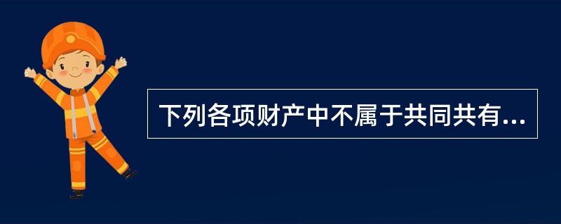 下列各项财产中不属于共同共有的是（　）。