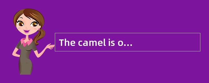 The camel is of great importance as a means of travel to most _____ people.