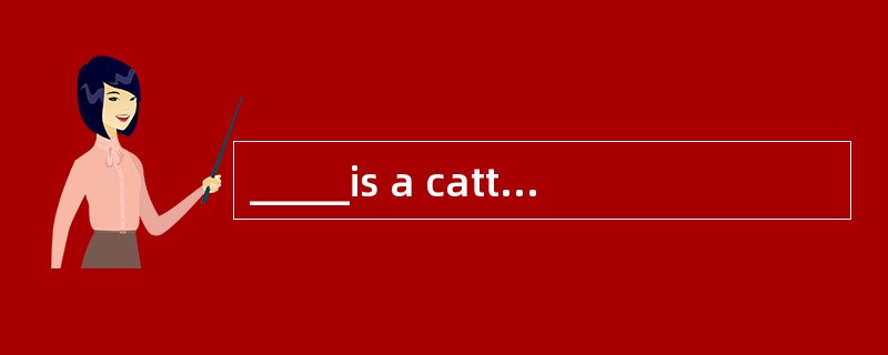 _____is a cattle herder on a ranch, especially, one who works on horseback.