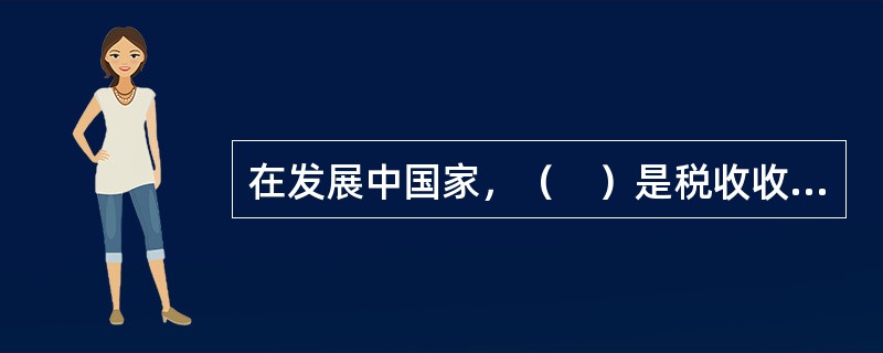 在发展中国家，（　）是税收收入的重要来源之一，同时也是资源转化为投资的重要手段。