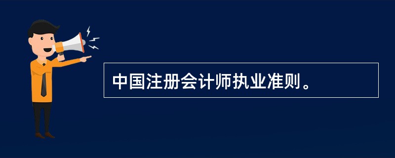 中国注册会计师执业准则。
