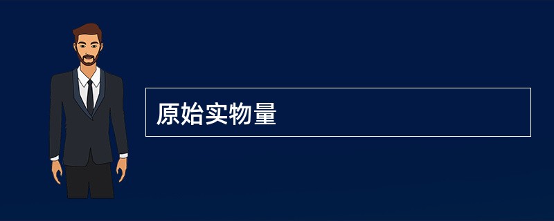 原始实物量