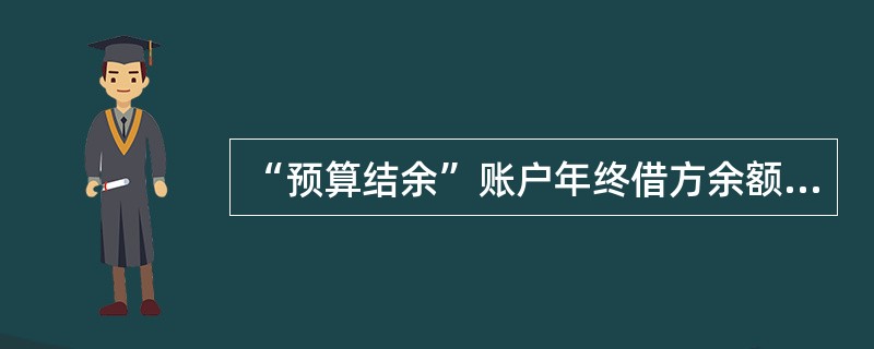 “预算结余”账户年终借方余额，反映本年的预算滚存结余，不应结转至下年度的新账上。（）