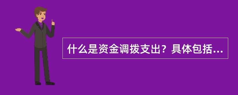 什么是资金调拨支出？具体包括哪些？