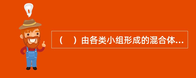 （　）由各类小组形成的混合体组成，这些小组分别负责特殊的职能领域。