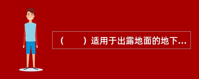 （　　）适用于出露地面的地下管线及其附属设施作详细调查、测量和记录。
