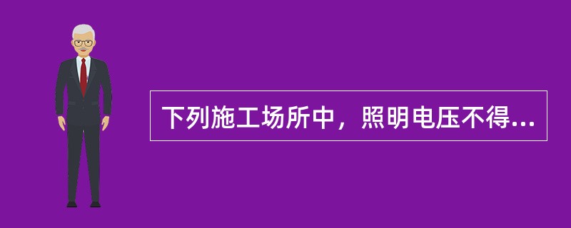 下列施工场所中，照明电压不得超过12V的是（　）。</p>