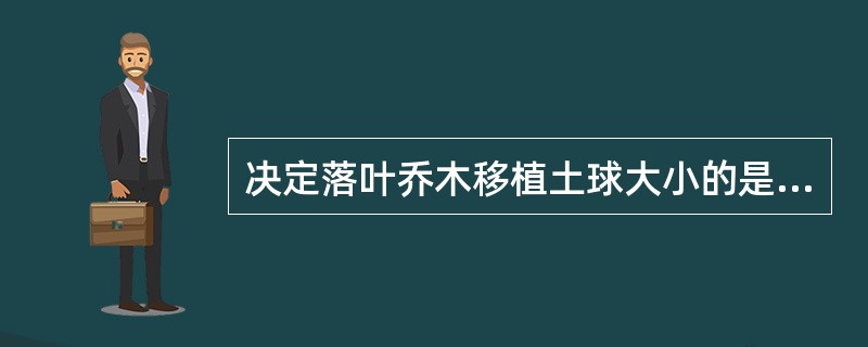 决定落叶乔木移植土球大小的是（　）。</p>