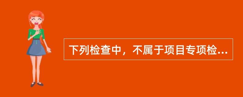 下列检查中，不属于项目专项检查的是（　　）。