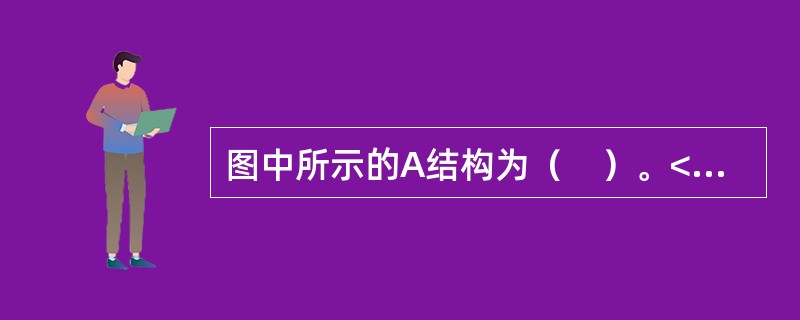 图中所示的A结构为（　）。<br /><img border="0" src="https://img.zhaotiba.com/fujian/2022